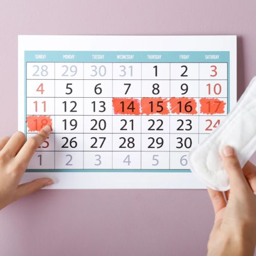 Comprendre votre cycle menstruel : phases, symptômes et astuces pour mieux vivre vos règles